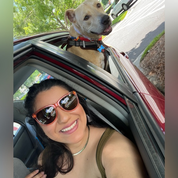 Tory Burch TY7091A Sunglasses in Crystal Poppy/Charcoal/Solid Smoke - Picture 12 of 17